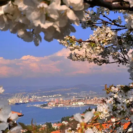 Razgled/the View Apartman Koper