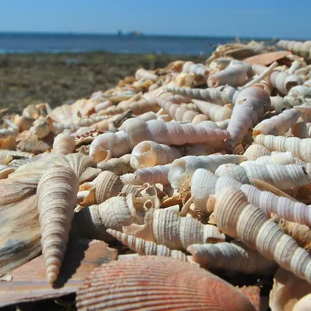 شقة Razgled/the View كوبر