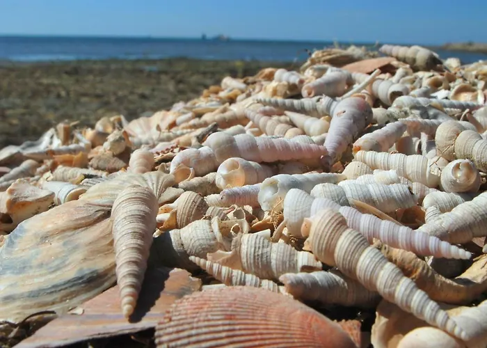 Διαμέρισμα Razgled/the View Κόπερ